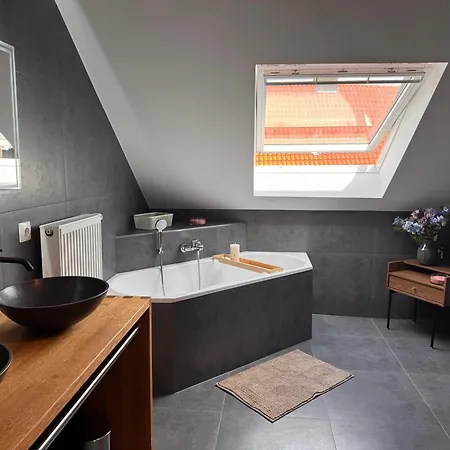 Hirsch Apartements